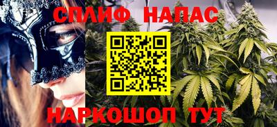 крисы Гагарин