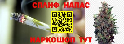 крисы Гагарин